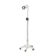 Dental Examination Light Lamp - 4