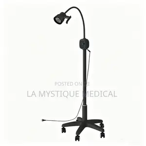 Adjustable LED Portable Examination Lamp