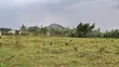 Bombo Town Estate Plots for Sale - 3