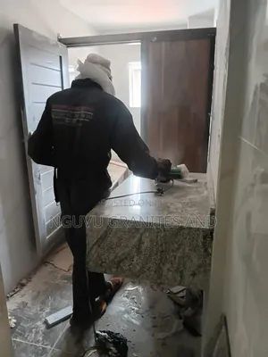Viscon White Granite for Bathroom Finishing