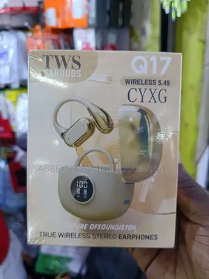 Q17 TWS Open-Ear Wireless Earbuds