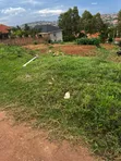 Plot for Sale in Nalumunye - 2