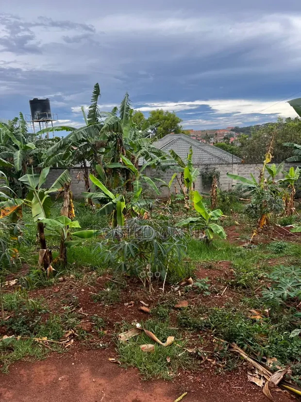 Residential Plot for Sale in Nalumunye - 1