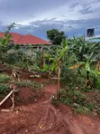 Residential Plot for Sale in Nalumunye - 2