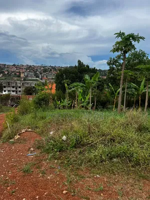 25 Decimal Plot of Land for Sale in Nalumunye