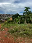 25 Decimal Plot of Land for Sale in Nalumunye - 1