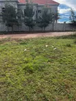 Residential Plot for Sale in Nalumunye - 1