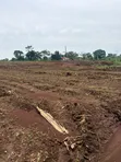 Kakiri Mwera 18M Titled Plots - 4
