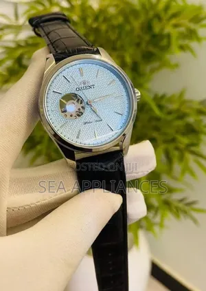 Orient Men's Metallic Face Watch