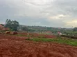 Plot of Land for Sale in Kijabijo, Gayaza - 5