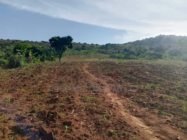 10 Acres Land for Sale in Kikakanya, Nkokonjeru, Buikwe - Lake Victoria View - 1