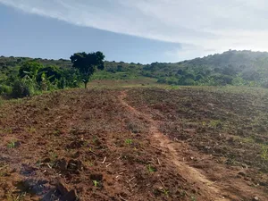 10 Acres Land for Sale in Kikakanya, Nkokonjeru, Buikwe - Lake Victoria View