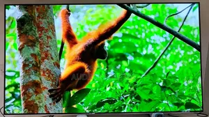 LG OLED B6 65" 4K Smart TV