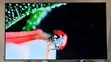 LG OLED B6 65" 4K Smart TV - 4