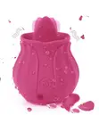 LoveLife Rose Clitoral Suction Vibrator - 1