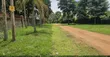3 Acres Land for Sale in Garuga, Before Pearl Marina City - 4