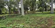 3 Acres Land for Sale in Garuga, Before Pearl Marina City - 5