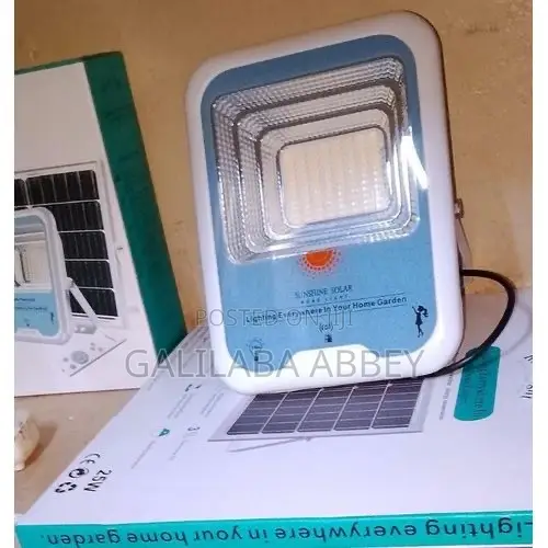 100W Solar Flood Light with Panel - 1