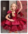 Girls Round Party Dress (1-5 Years) - 1