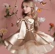 Girls Round Party Dress (1-5 Years) - 2