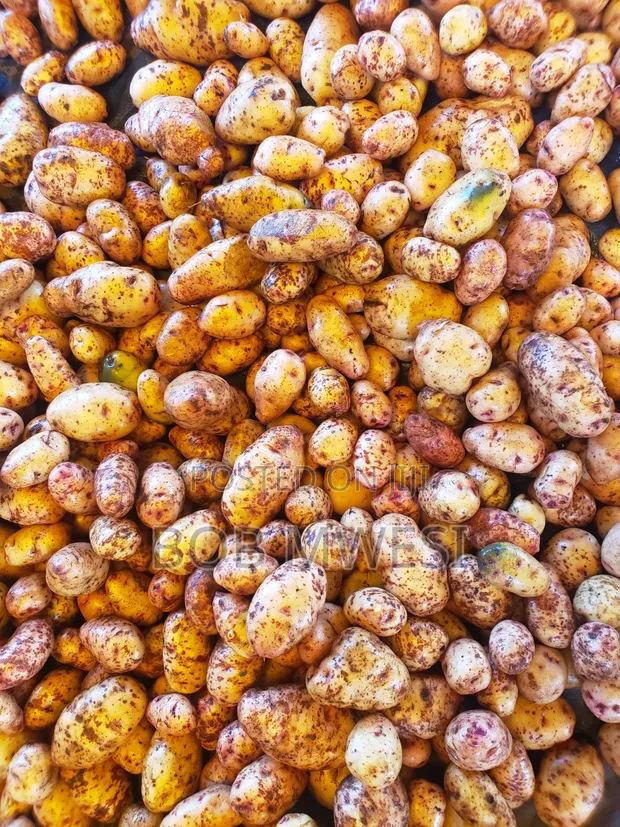 Sorted Irish Potatoes - 1