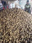 Sorted Irish Potatoes - 3