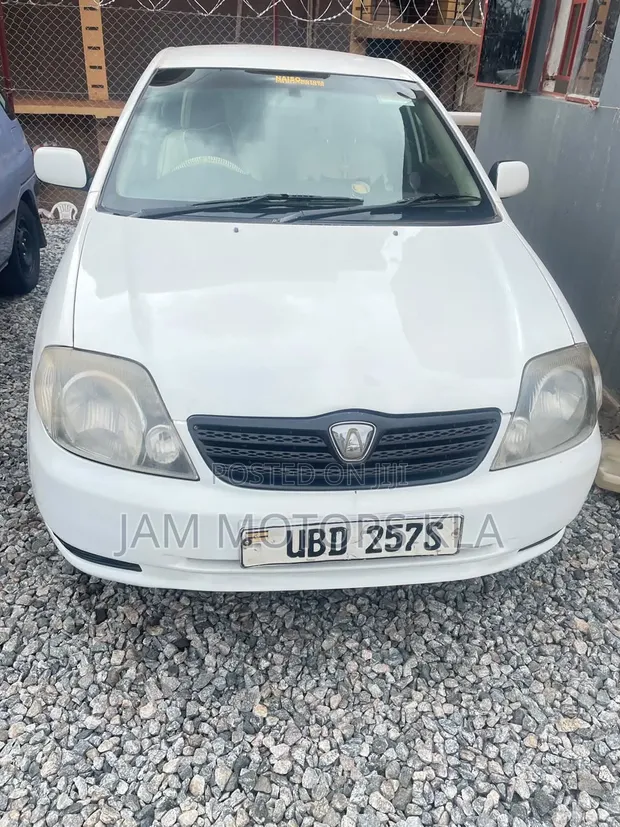 Toyota Allex 2004 White - 1