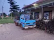 Isuzu Elf Truck - 3