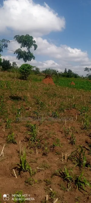 1 Acre Residential Land for Sale in Mende, Wakiso