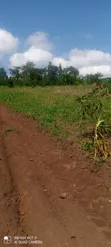 1 Acre Residential Land for Sale in Mende, Wakiso - 2