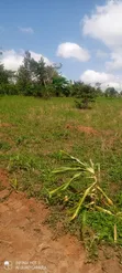 1 Acre Residential Land for Sale in Mende, Wakiso - 4