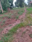 100x100ft Commercial Land for Sale, Buwambo Lugo - 2
