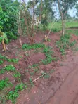 Commercial Plot for Sale - Banda Buwambo, Wakiso - 3