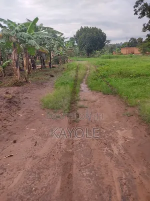 150x50 Plot for Sale on Main Road, Buwambo