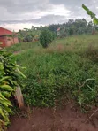 150x50 Plot for Sale on Main Road, Buwambo - 4