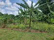 4 Acres Land with 3-Bedroom House in Busia - 2