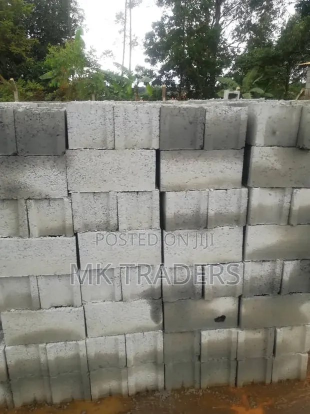 8 Inch Hollow Block - 1