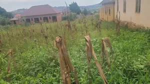 Plot for Sale in Bukasa, Sentema Road