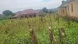Plot for Sale in Bukasa, Sentema Road - 2