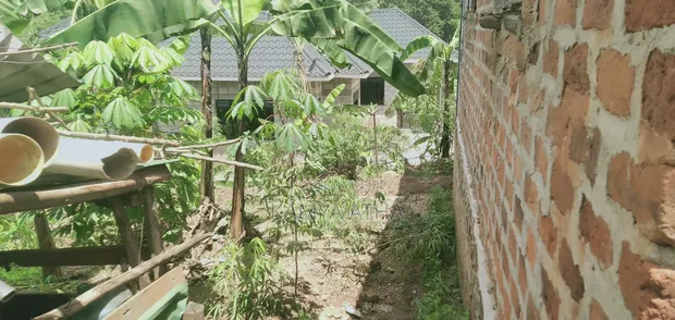 Residential Land for Sale in Matugga, Buwambo Road - 1