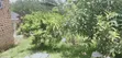 Residential Land for Sale in Matugga, Buwambo Road - 2