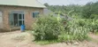 Residential Land for Sale in Matugga, Buwambo Road - 4