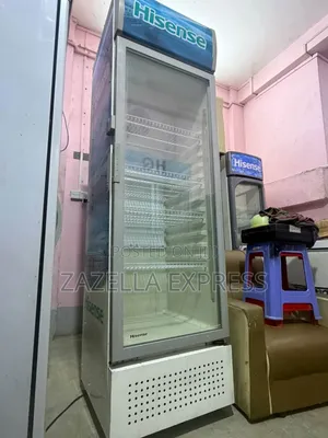 Hisense 500L Chiller