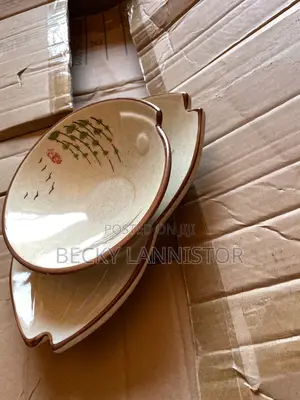 Brand New Dinner Plate - White Ceramic