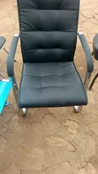 Executive Guest Chairs (Set of 2) - 1