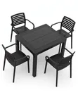 Brand New World Industries Plastic Dining Table and Chairs Set - 1