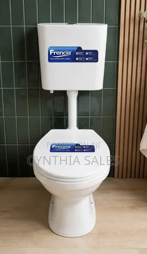 Brand New Toilet and Water Cistern