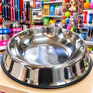 Stainless Steel Pet Feeding Bowl with Non-Slip Base