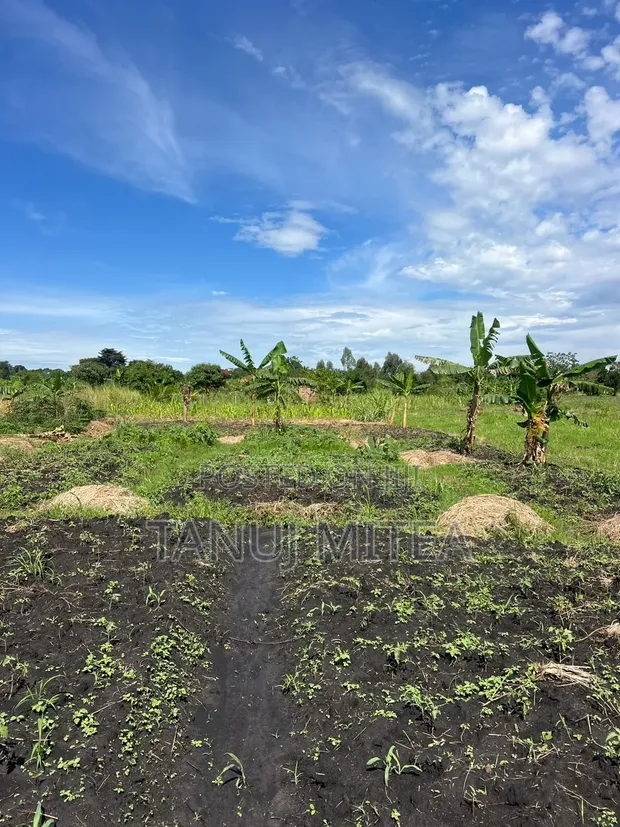 7 Acres Agri Land with Fish Ponds for Sale/Lease in Zirobwe - 1