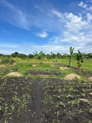 7 Acres Agri Land with Fish Ponds for Sale/Lease in Zirobwe